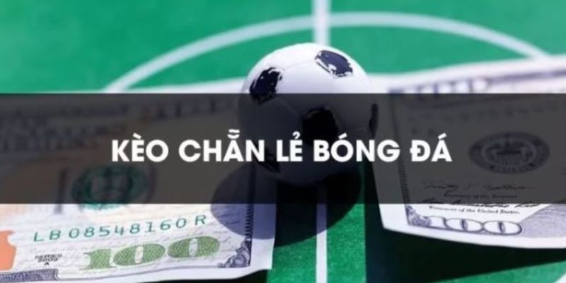 Chỉ dẫn hội viên cách thức tính tiền kèo chẵn lẻ siêu đơn giản